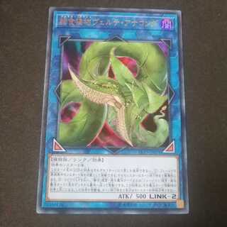 捕食植物ヴェルテ・アナコンダ ウルトラレア