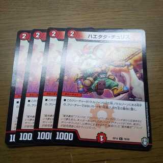 ハエタタ・チュリス