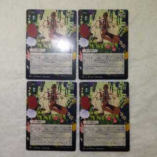 Cultivate <Day Limited> 4-piece set