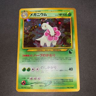 Meganium [old back].