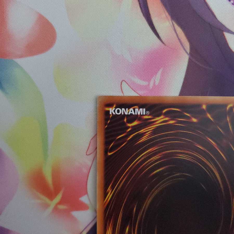 真紅眼の黒竜 セット売り