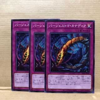 バージェストマ・カナディア ノーマル　3枚　マホ子