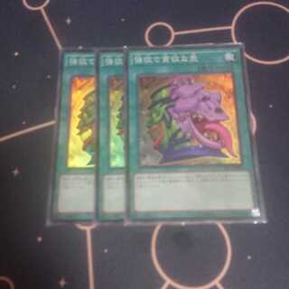 強欲で貪欲な壺 スーパーレア 3枚セット