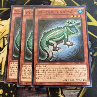 マドレース4699グレイドル・アリゲーター ノーマル