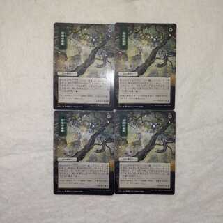 Adventurous Impulse <Day Limited> 4-piece set