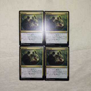 Tend the Pests 4-card set