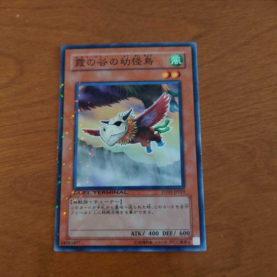 霞の谷の幼怪鳥