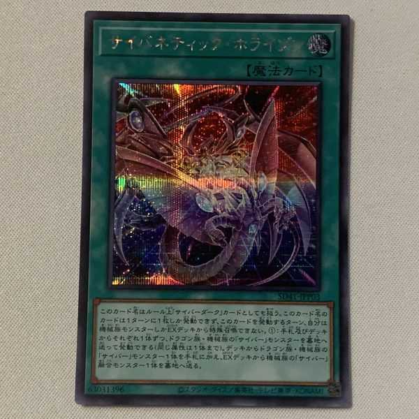 サイバネティック・ホライゾン シク 1枚