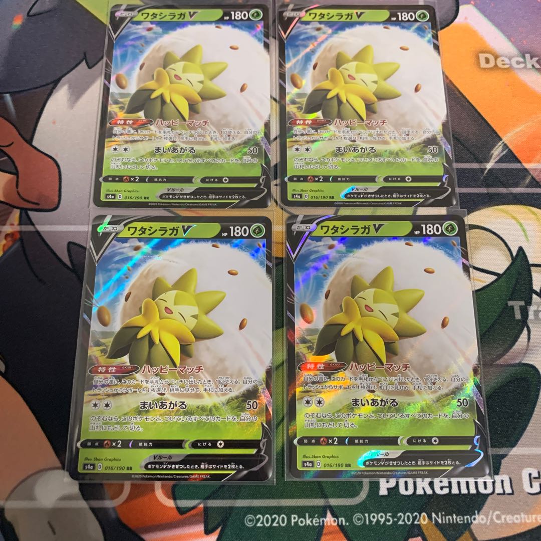 ワタシラガV 4枚