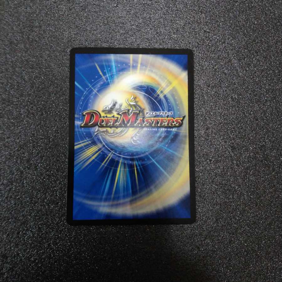 伝説演者 カメヲロォル