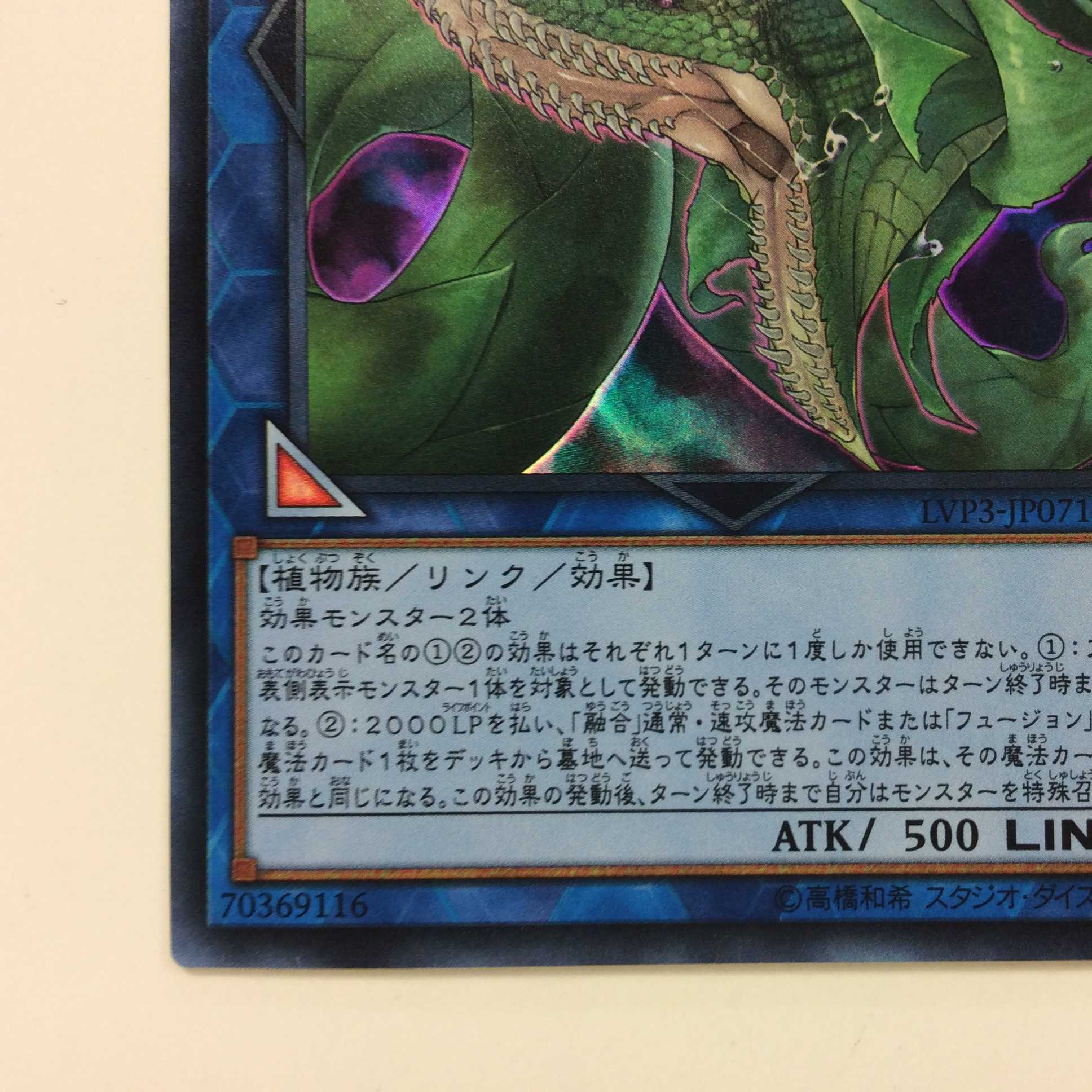 (美品)捕食植物ヴェルテ・アナコンダ ウルトラレア