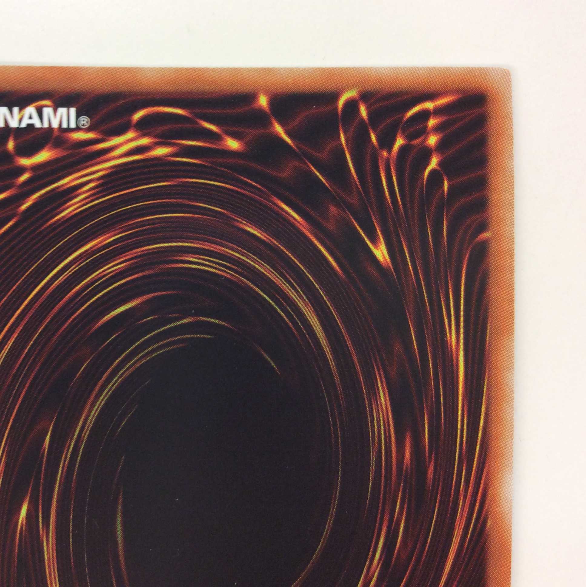 (美品)捕食植物ヴェルテ・アナコンダ ウルトラレア