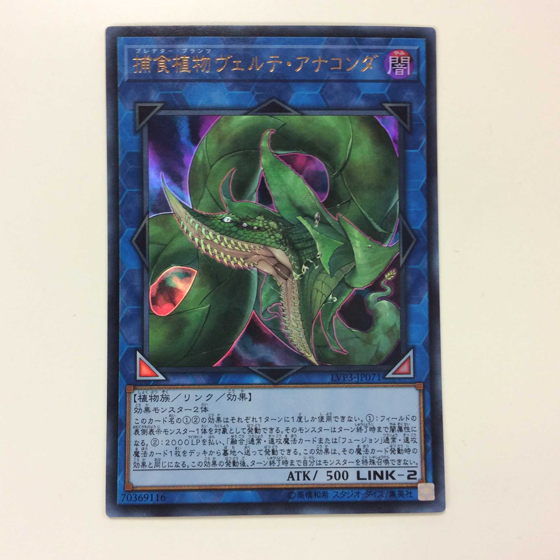 （美品）捕食植物ヴェルテ・アナコンダ　ウルトラレア