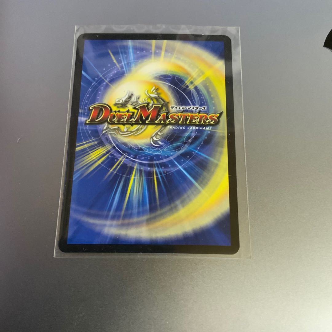 煌メク聖壁 灰瞳