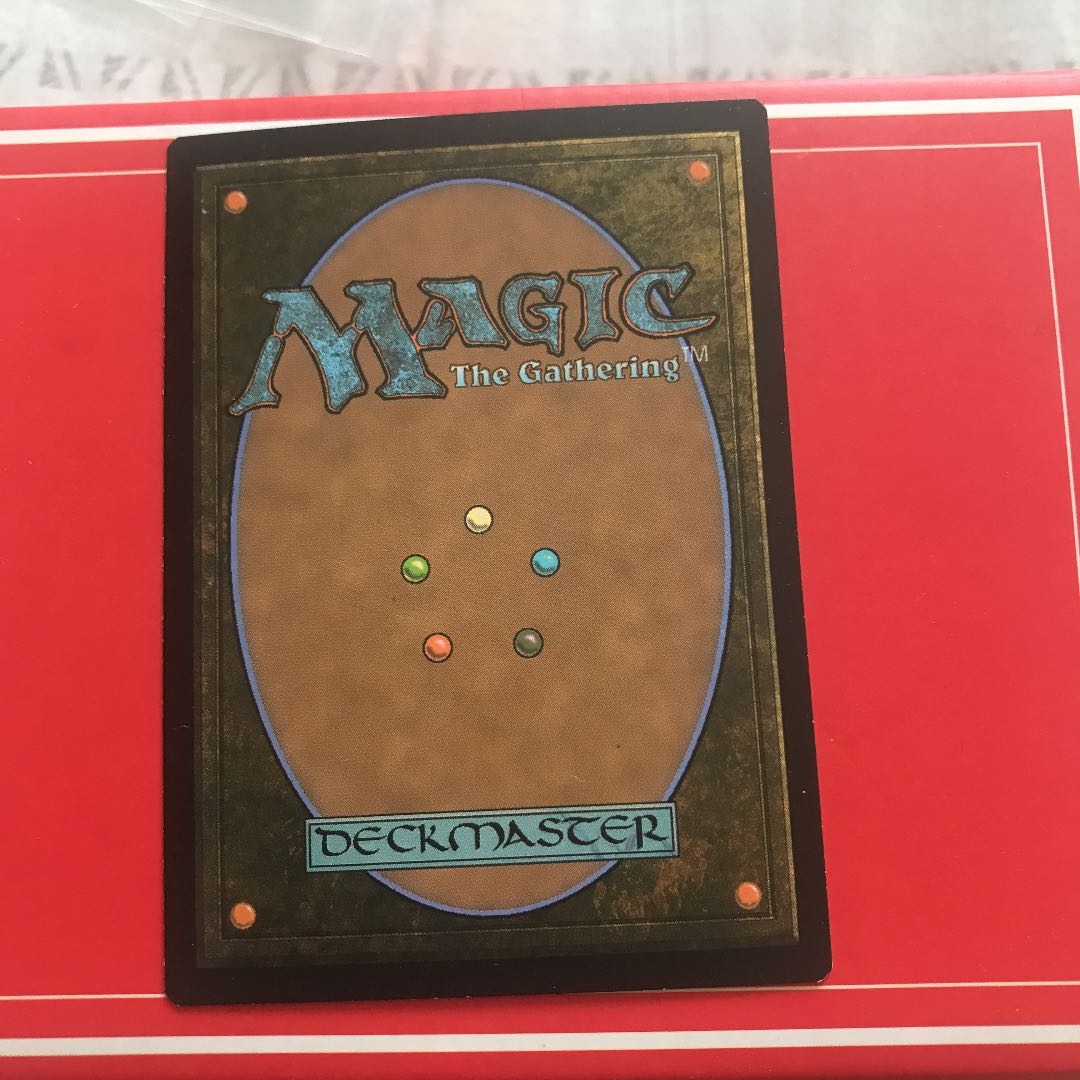 MTG  霧深い雨林　4枚セット