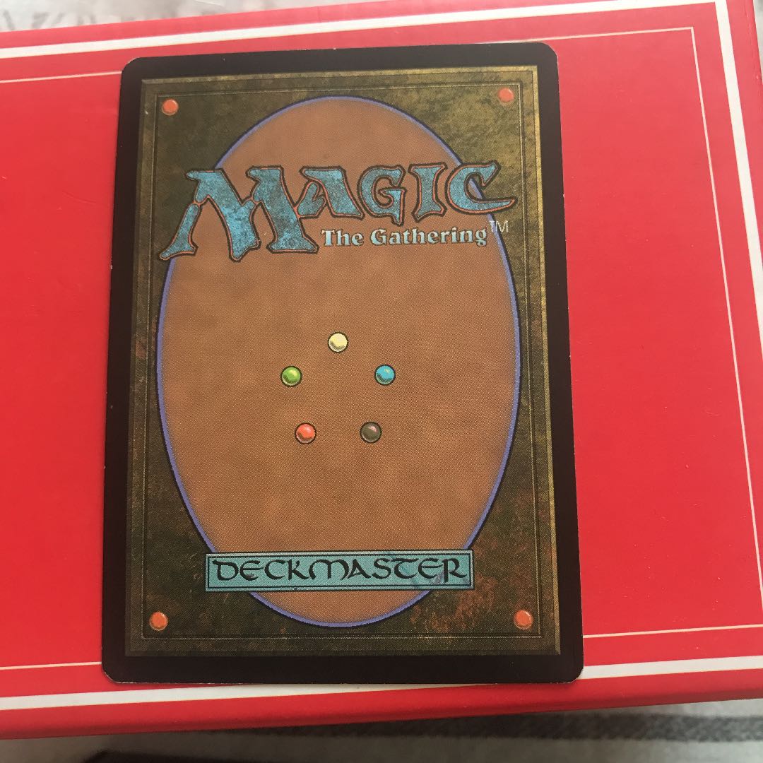MTG  霧深い雨林　4枚セット