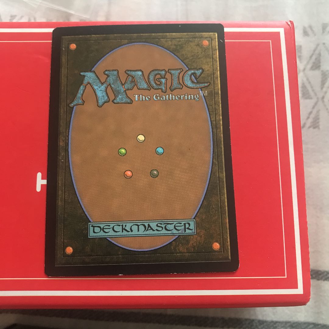 MTG  霧深い雨林　4枚セット