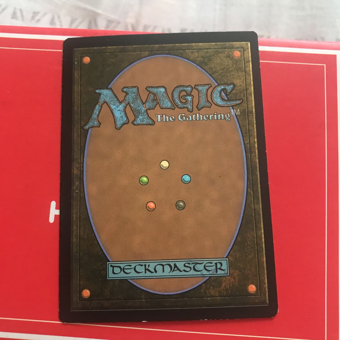 MTG  霧深い雨林　4枚セット