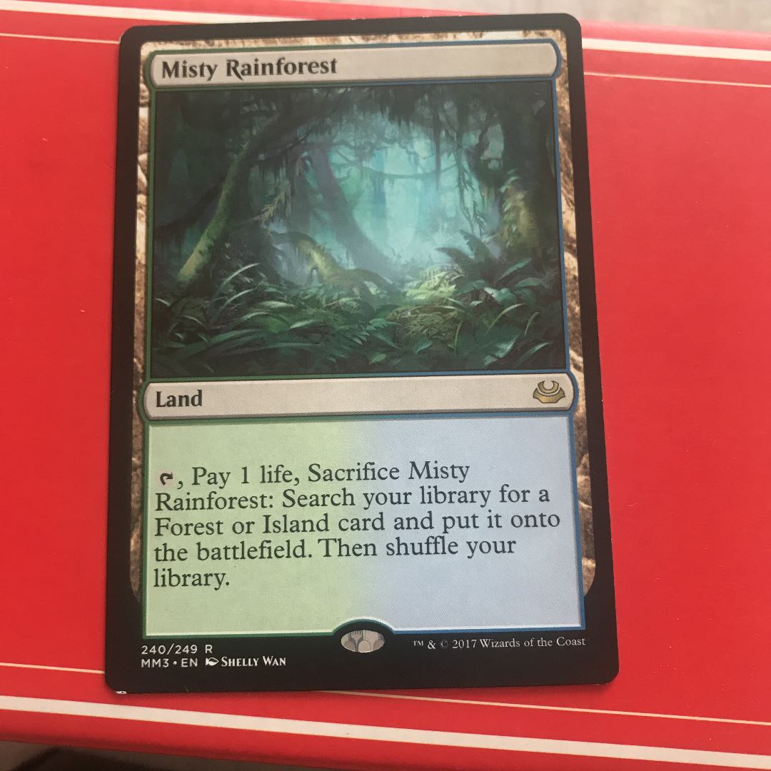 MTG  霧深い雨林　4枚セット