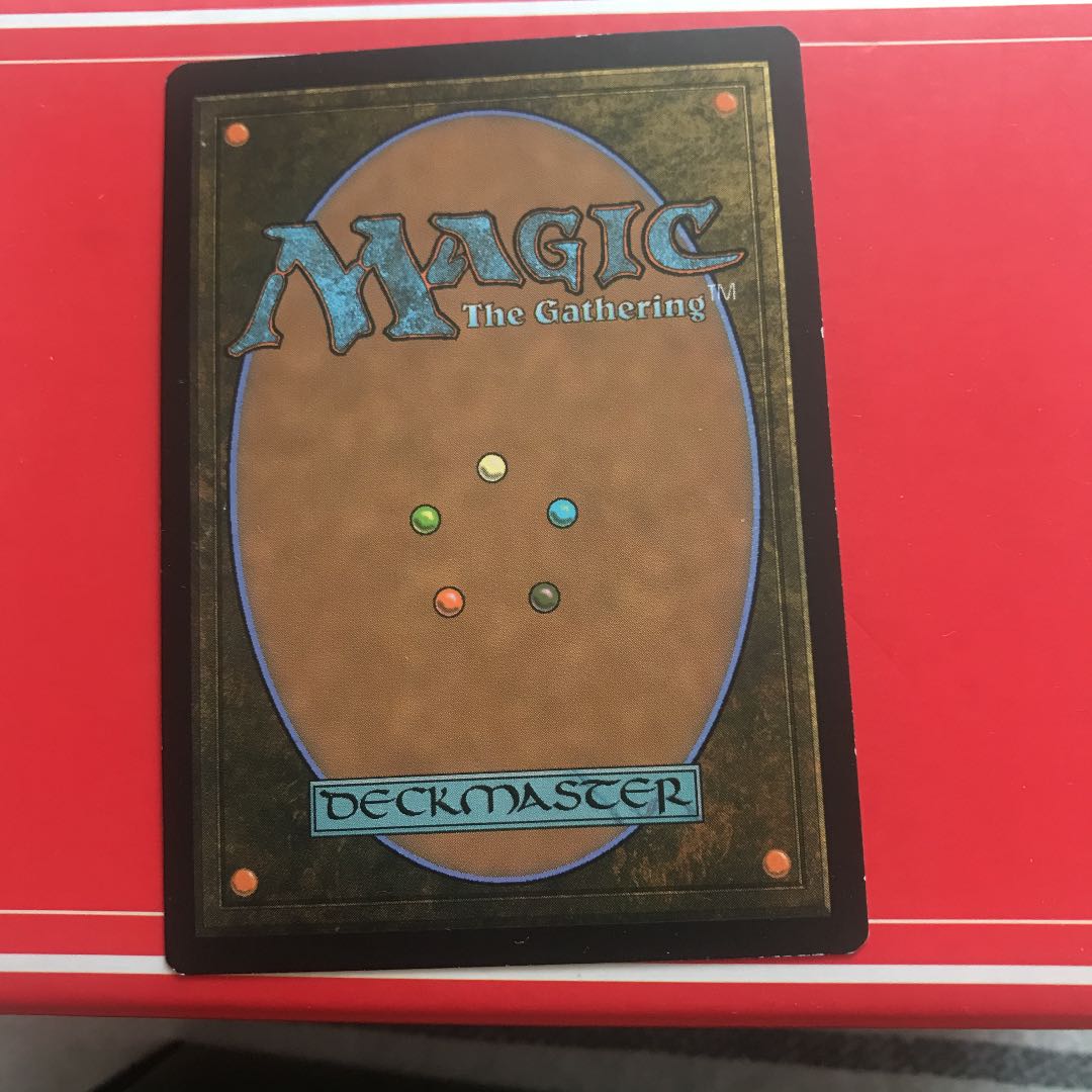 MTG  霧深い雨林　4枚セット
