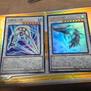 白闘気白鯨 ウルトラレアセット