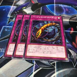 バージェストマ・カナディア ノーマル