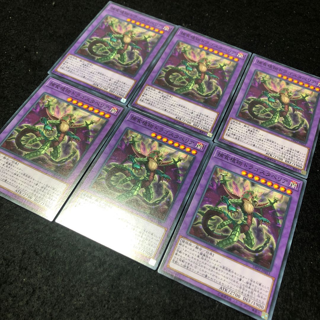 捕食植物ドラゴスタペリア