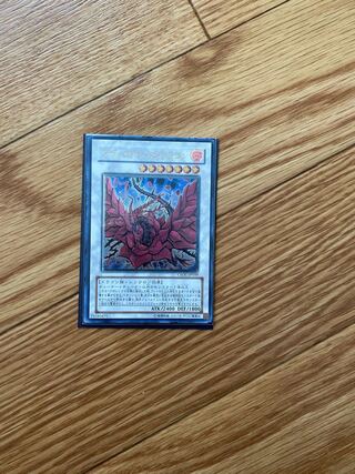 遊戯王 ブラックローズドラゴン レリーフ 1枚