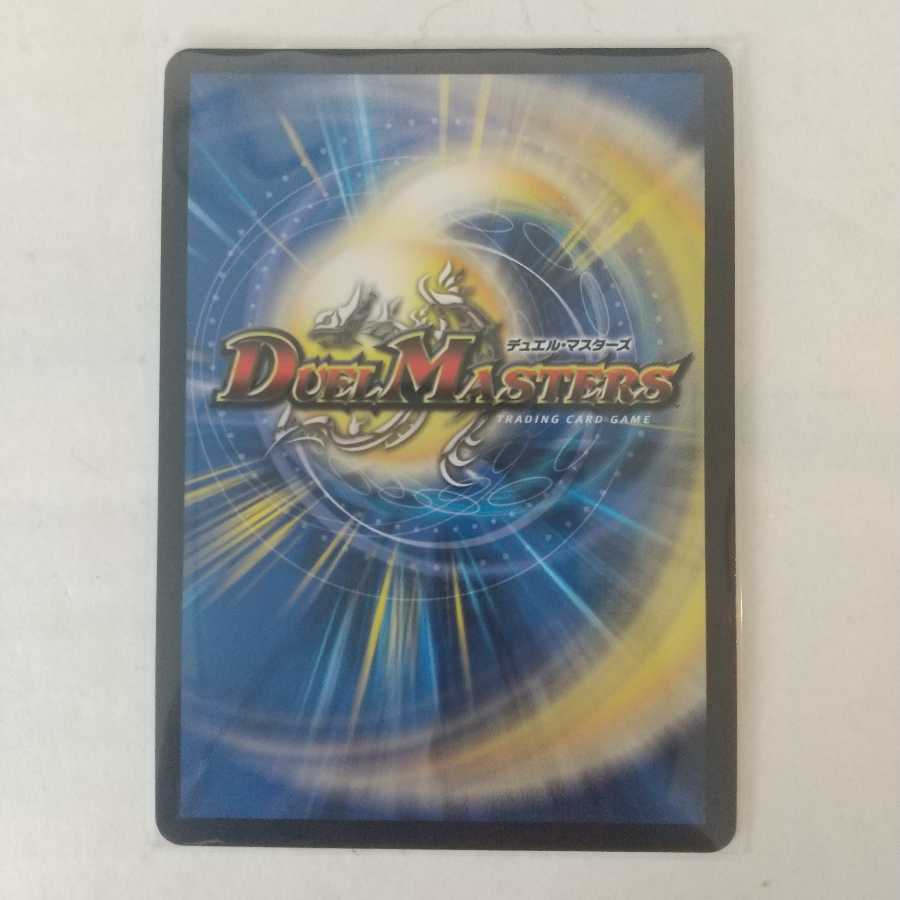 天命龍装 ホーリーエンド/ナウ・オア・ネバー シク