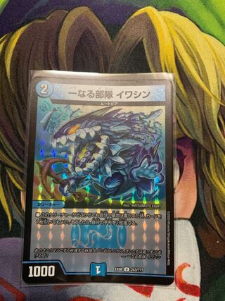 一なる部隊 イワシン U-foil