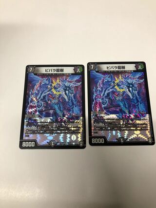 ビバラ龍樹2枚セット