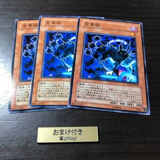 金華猫 ノーマル