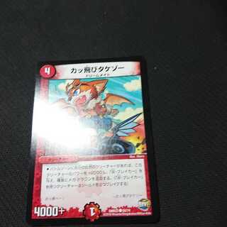 bamboo sole (Pleuronectes herzensteini)