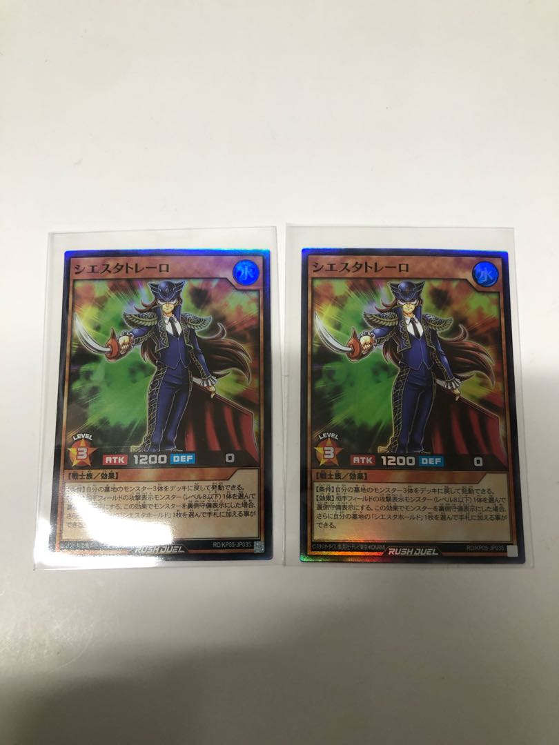 シエスタトレーロ2枚セット