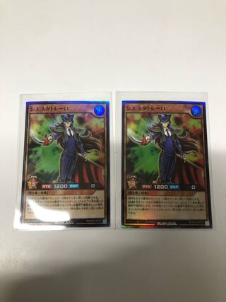 シエスタトレーロ2枚セット