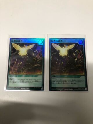 昴光の裁き2枚セット