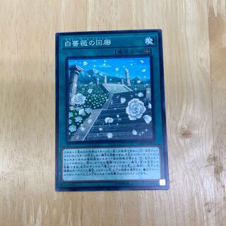 White Rose Cloister Normal