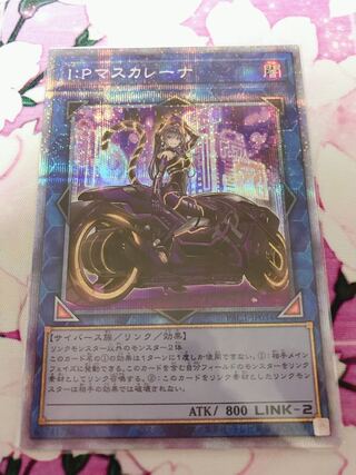 RYUUYA様 専用 1枚