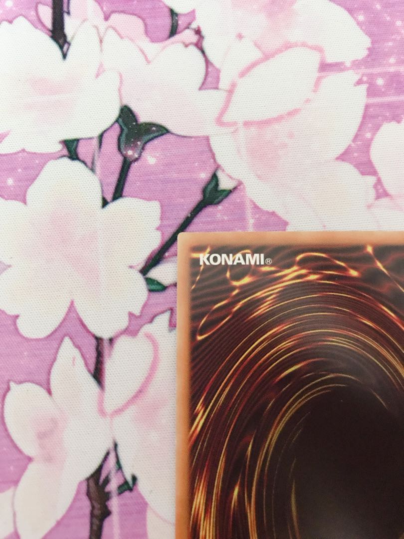 RYUUYA様　専用 1枚