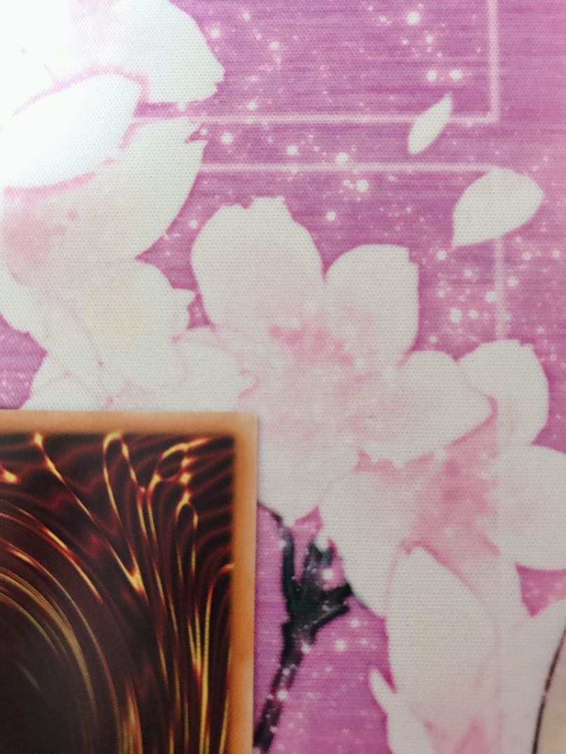 RYUUYA様　専用 1枚