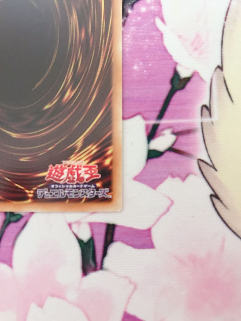 RYUUYA様　専用 1枚