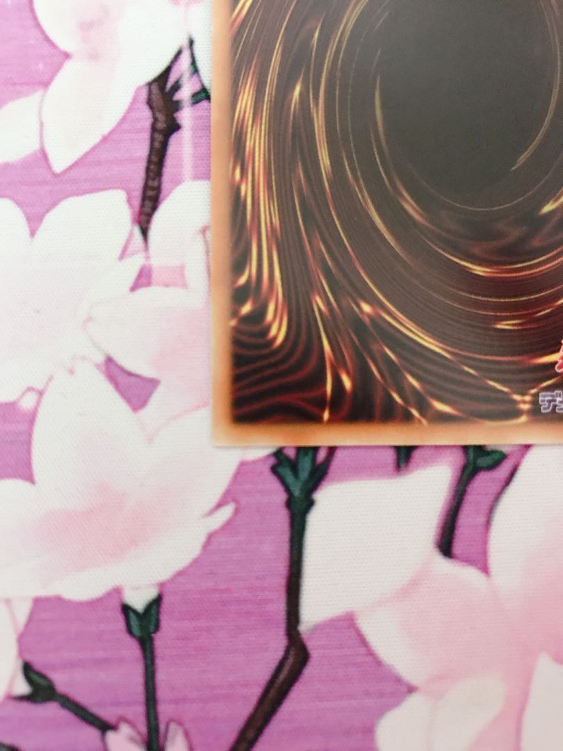 RYUUYA様　専用 1枚