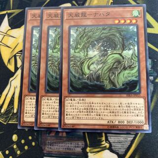 Madrass 353 Heavenly Dragon - Nahata Normal