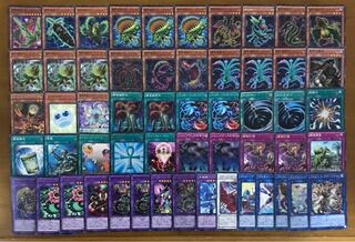 捕食植物　デッキ　スリーブ付