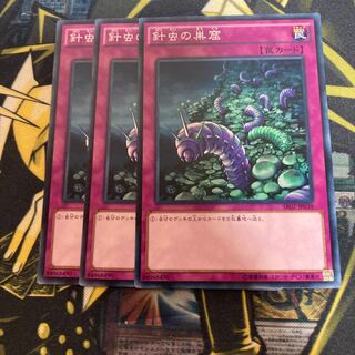 マドレース1547針虫の巣窟 ノーマル