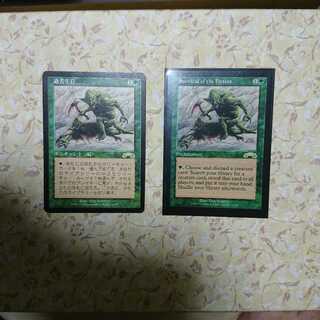 適者生存  日英