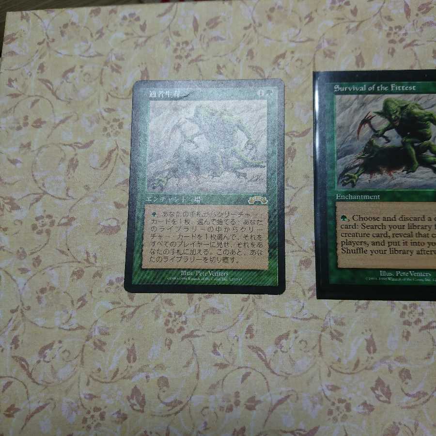 適者生存  日英