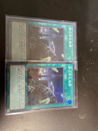 融合再生機構 スーパーレア2枚