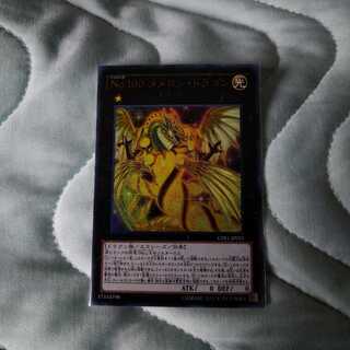 No.100 ヌメロン・ドラゴン