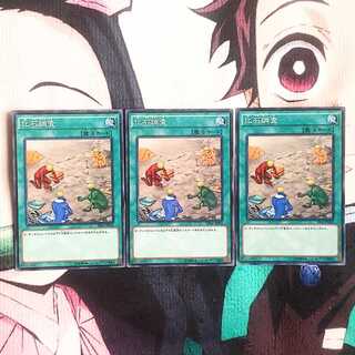 鮭イクラ商店 13 化石調査 ノーパラ3枚